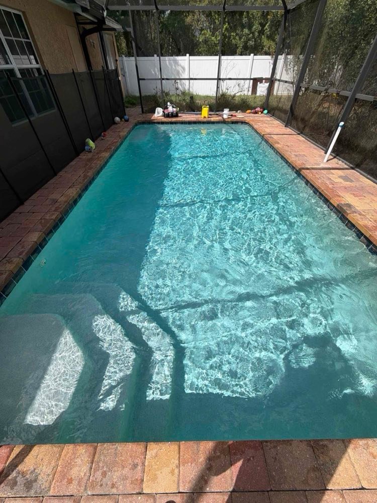 Backyard pool with sun shelf, freshly brushed and vacuumed