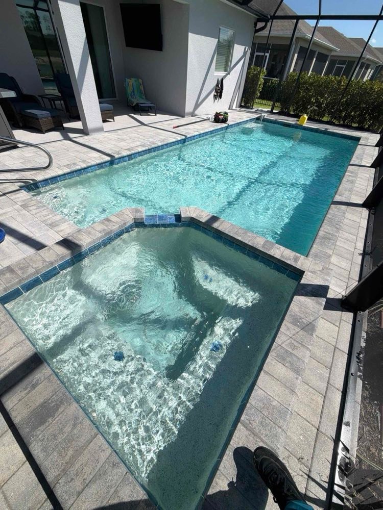 Backyard pool with debris skimmed and baskets emptied